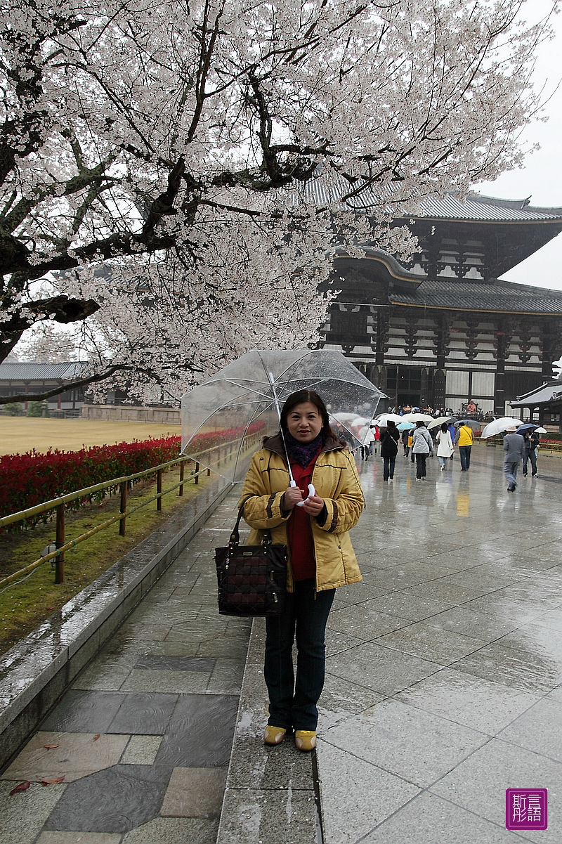 東大寺 (30)