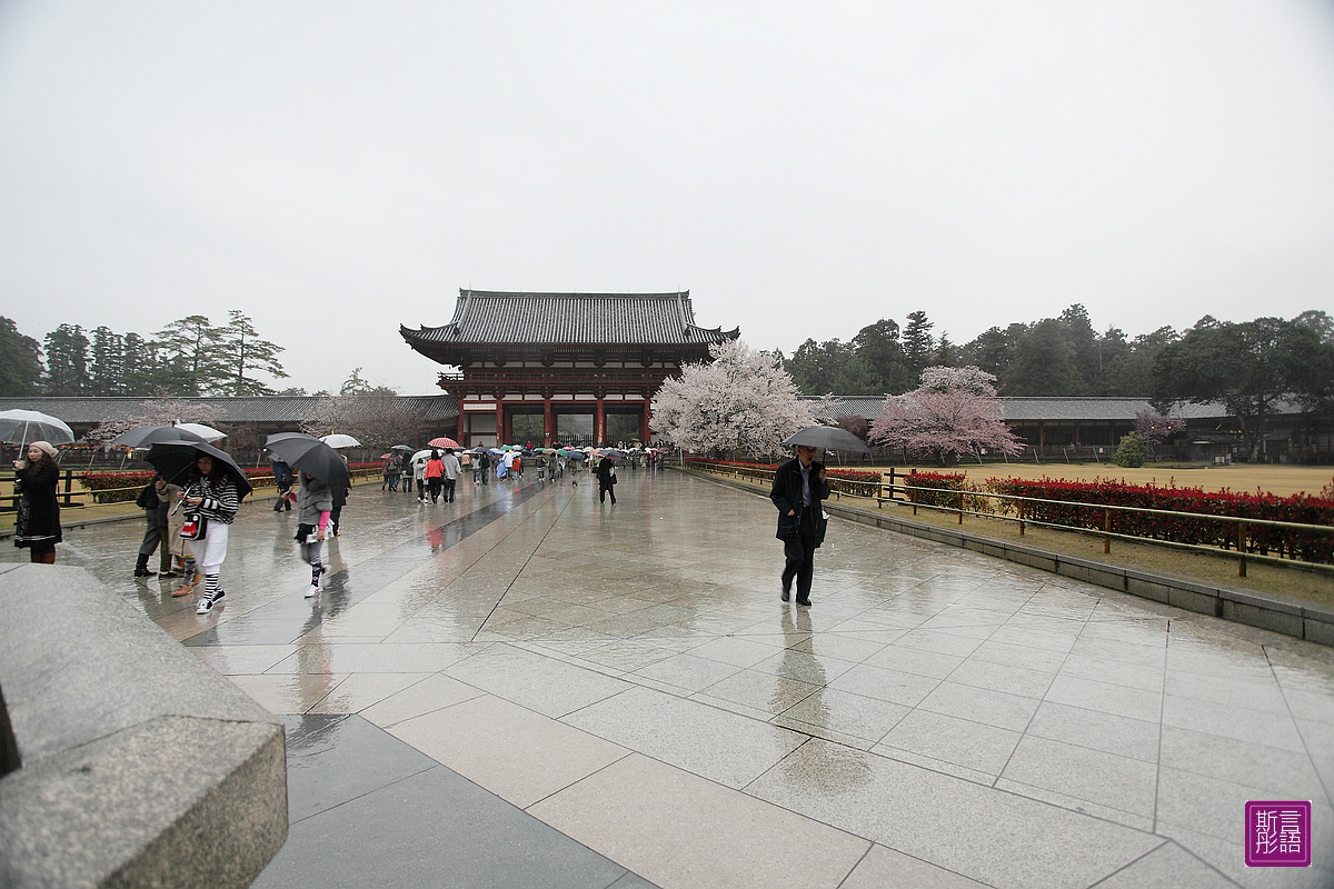 東大寺 (35)