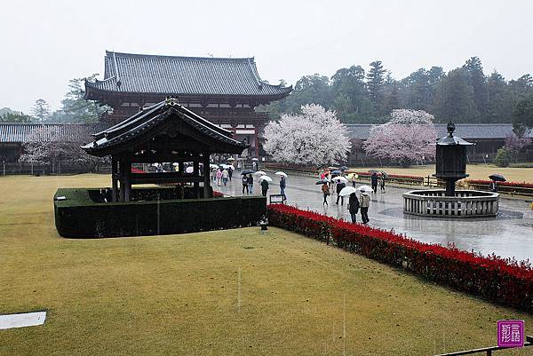 東大寺 (51)