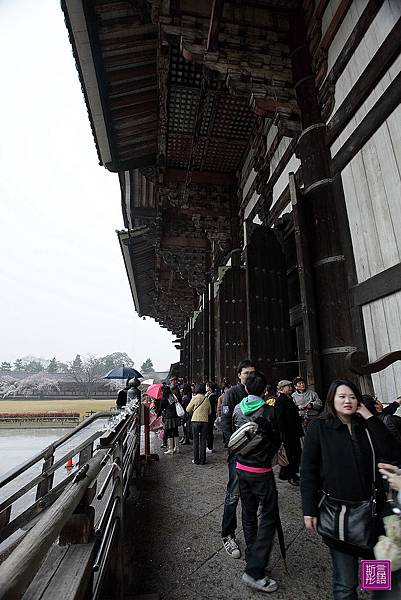 東大寺 (52)