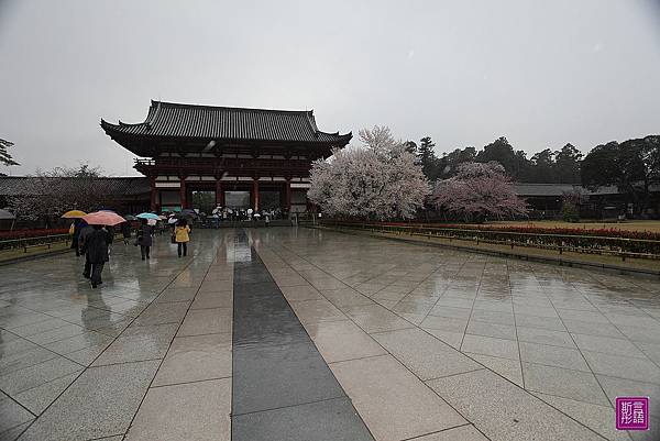 東大寺 (58)