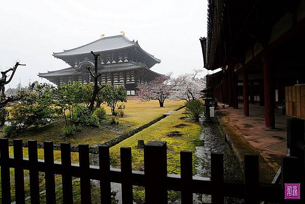 東大寺 (70)