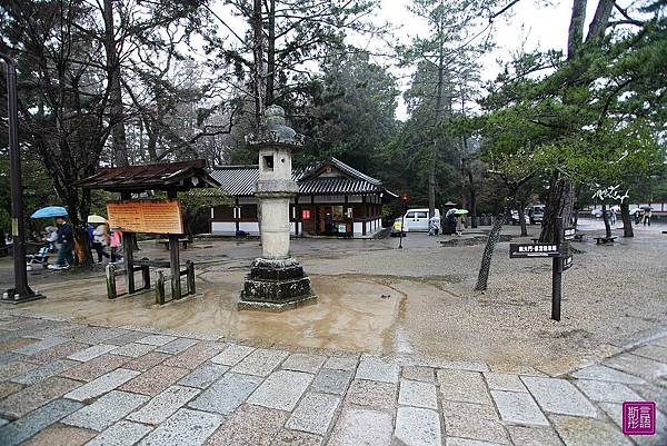 東大寺 (74)