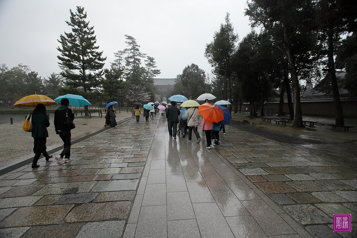 東大寺 (75)