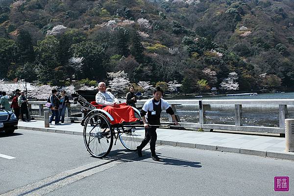 嵐山渡月橋 (28)