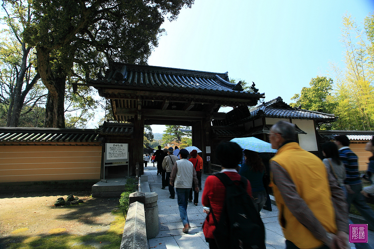 金閣寺 (7)