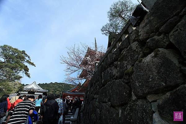 清水寺 (10)