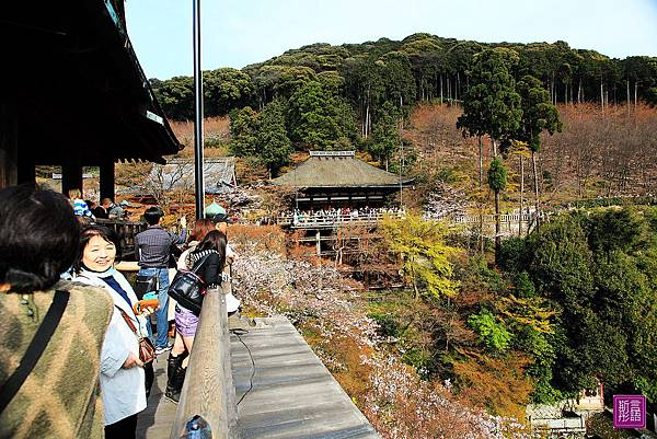 清水寺 (39)