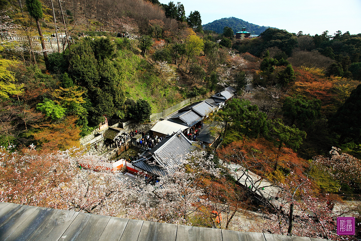 清水寺 (40)