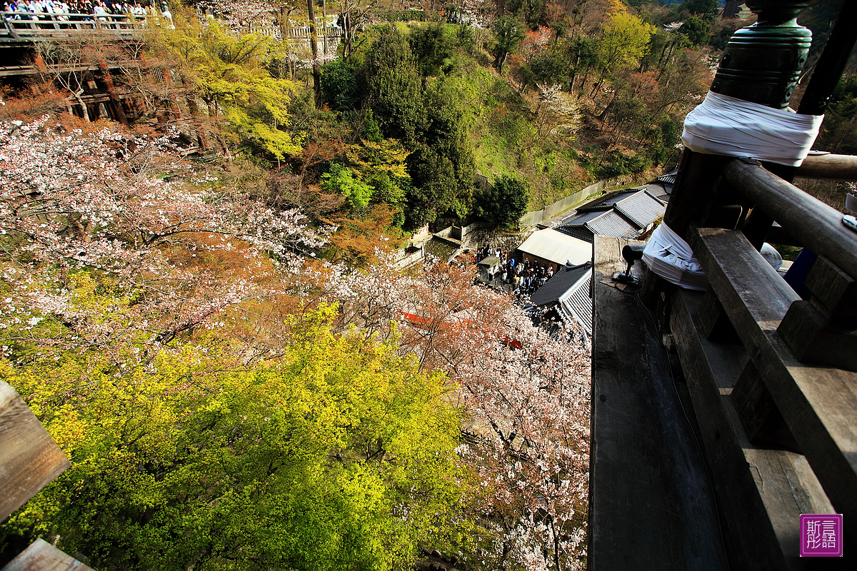 清水寺 (41)