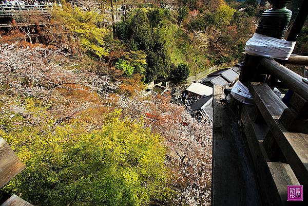 清水寺 (41)