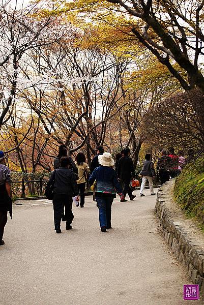 清水寺 (81)