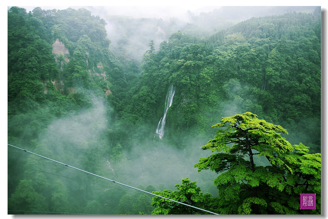 九重夢大橋. (14)