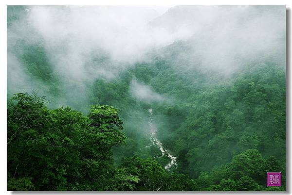 九重夢大橋. (15)