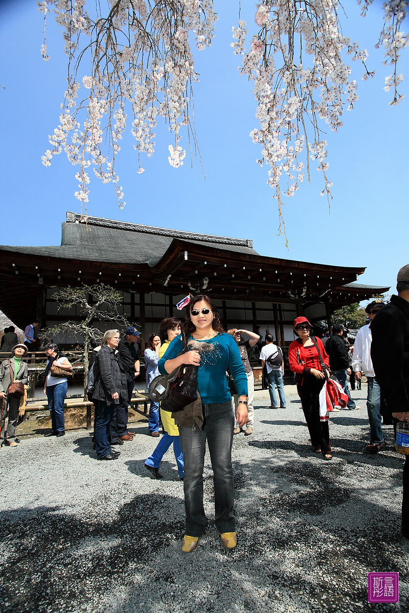 天龍寺 (39)