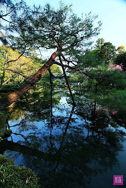 平安神宮 (54)