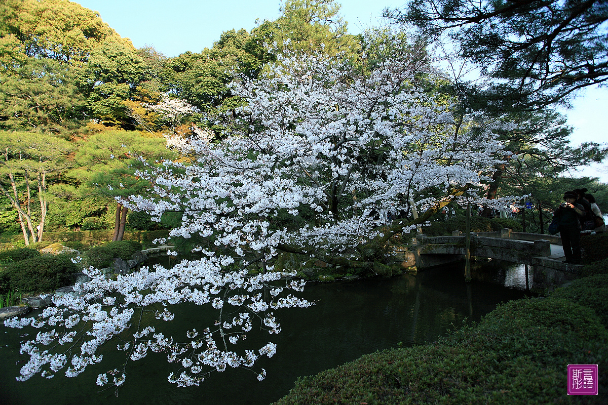 平安神宮 (58)