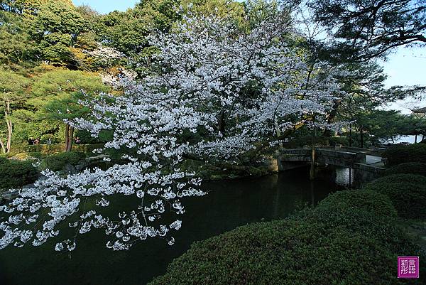 平安神宮 (59)