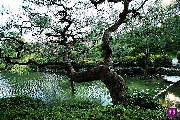 平安神宮 (61)