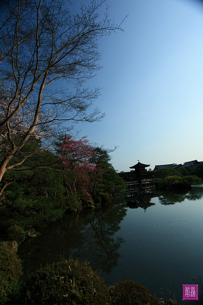 平安神宮 (67)