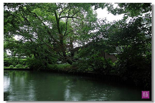 柳川小扁舟. (41)