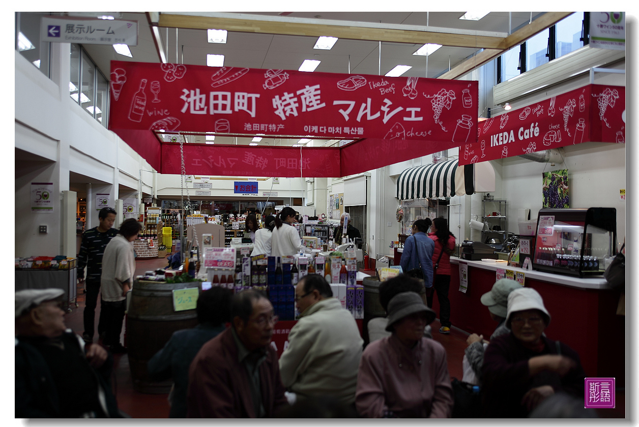 03.池田葡萄酒. (17)