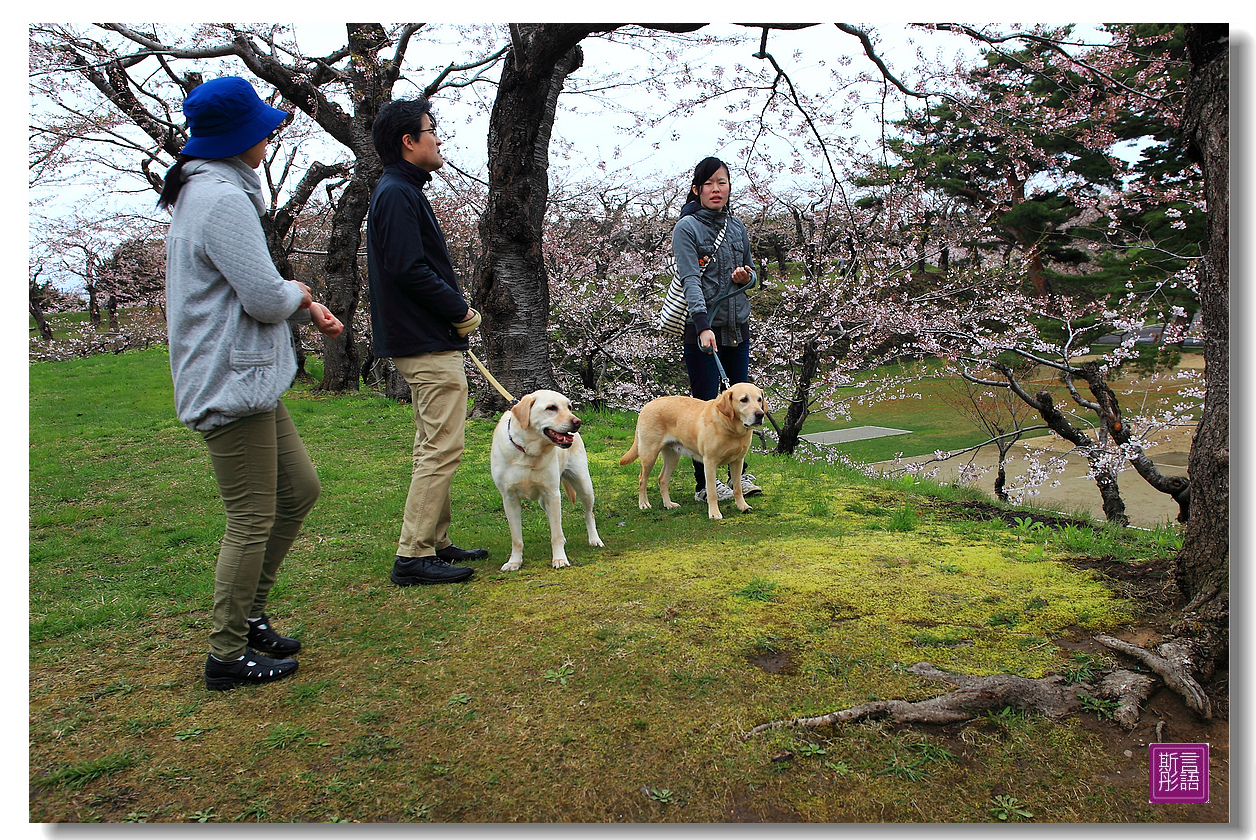 24.五稜廓公園.. (41)