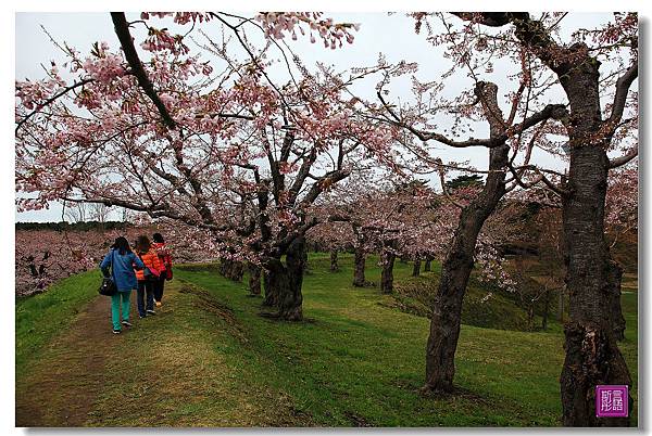 24.五稜廓公園.. (75)