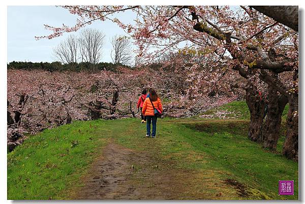 24.五稜廓公園.. (79)