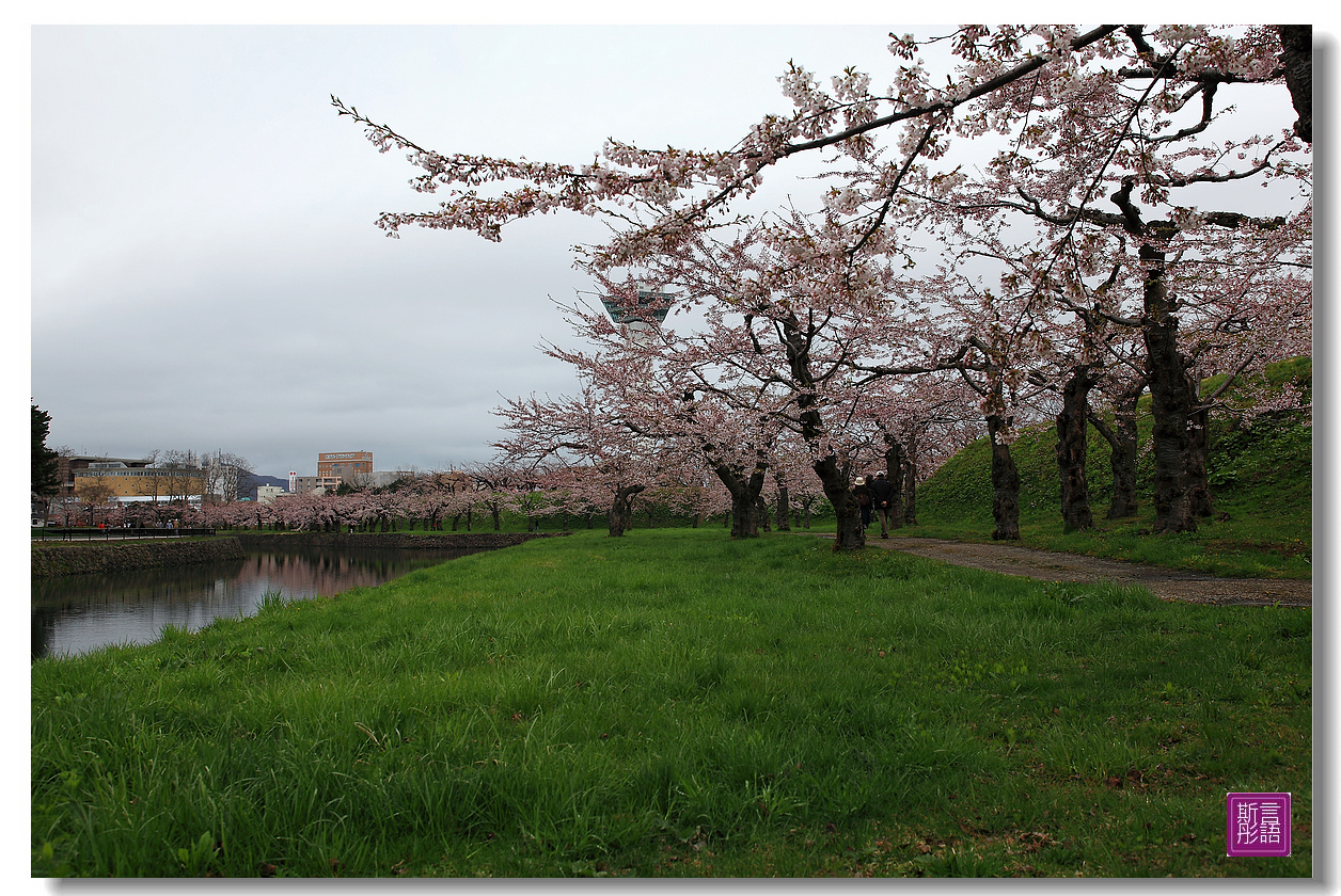 24.五稜廓公園.. (121)