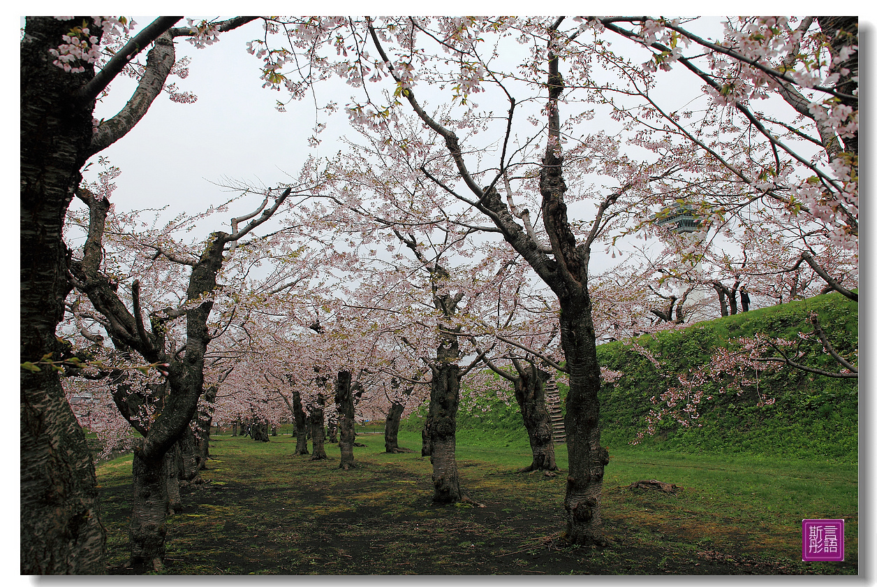 24.五稜廓公園.. (143)