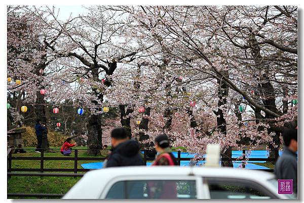 24.五稜廓公園.. (183)