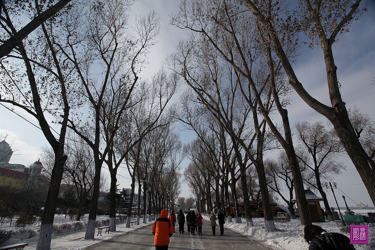 史達林公園 (10)