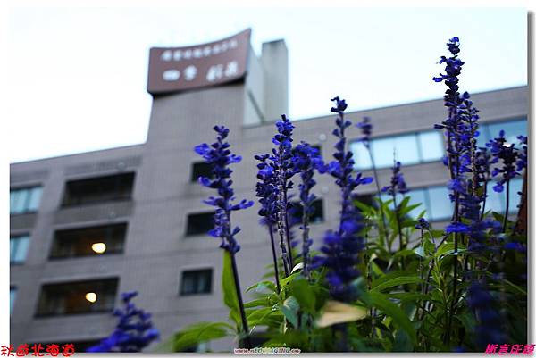 層雲峡溫泉大飯店 (20)