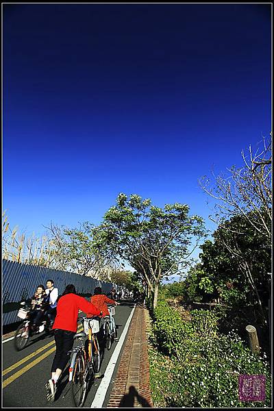 東豐自行車綠廊 (13)