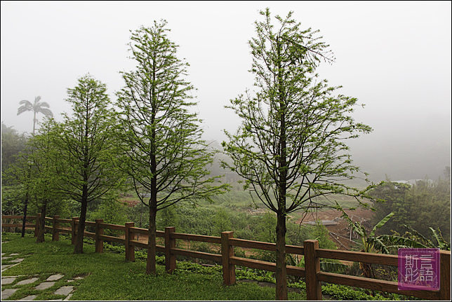 山水緣餐廳 (6)