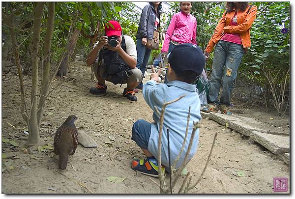 台一休閒農場午餐及遊園篇-20081109 (30)