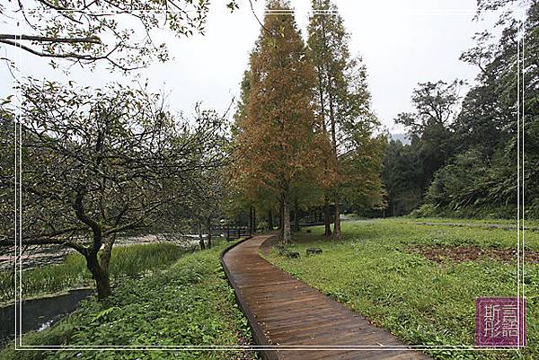 福山植物園.上. (22)