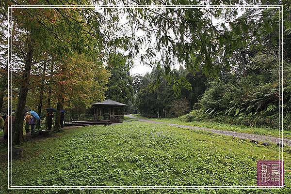 福山植物園.上. (26)