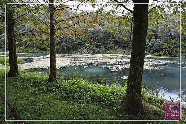 福山植物園.上. (32)