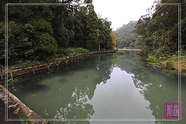 福山植物園.上. (41)