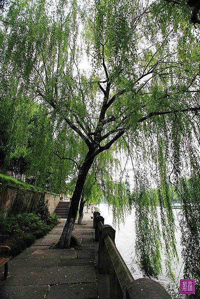 京杭大運河 (19)