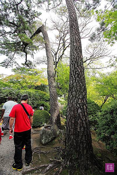 和歌山城 (24)