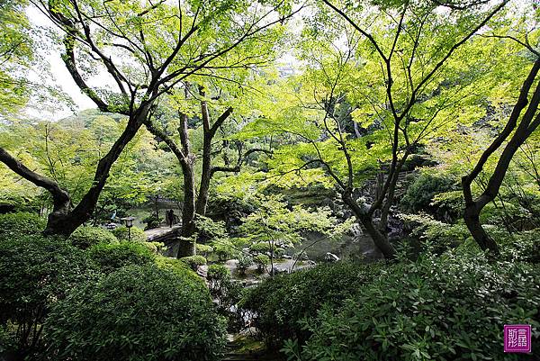 和歌山城 (25)