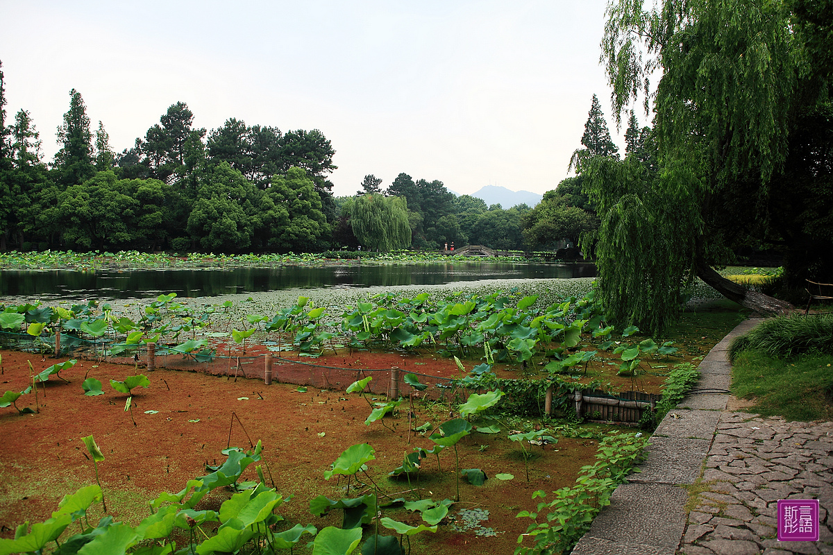 杭州-西湖 (162)