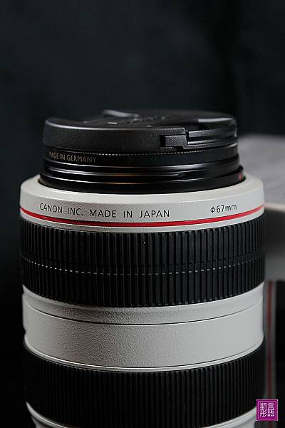 70-300L鏡 (11)