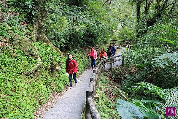 內洞國家森林風景區 (52)