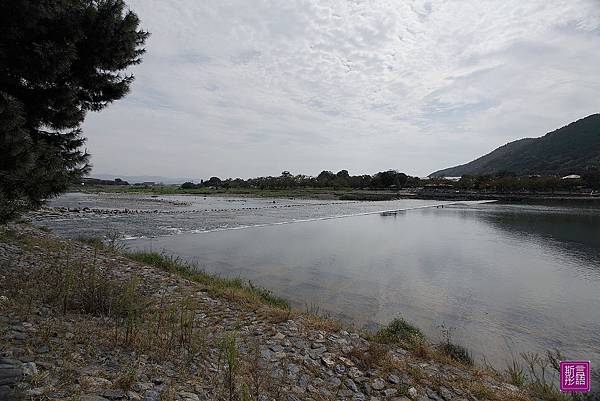 嵐山渡月橋 (25)