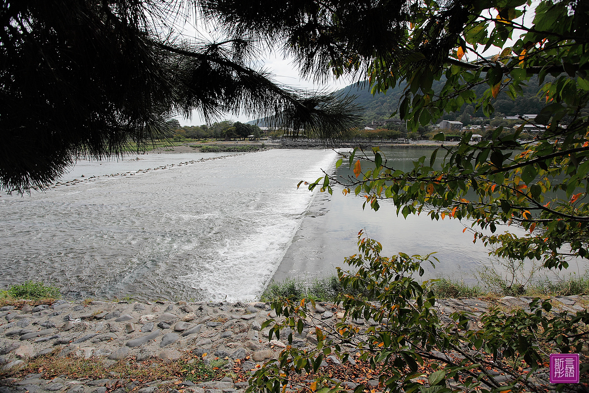 嵐山渡月橋 (29)