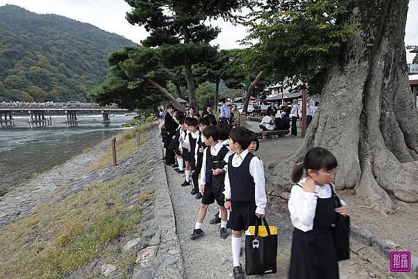 嵐山渡月橋 (36)